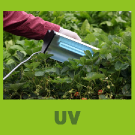 UV disinfection