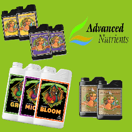 Liquid Fertilizer