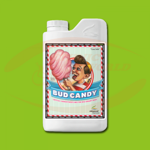 AN Bud Candy