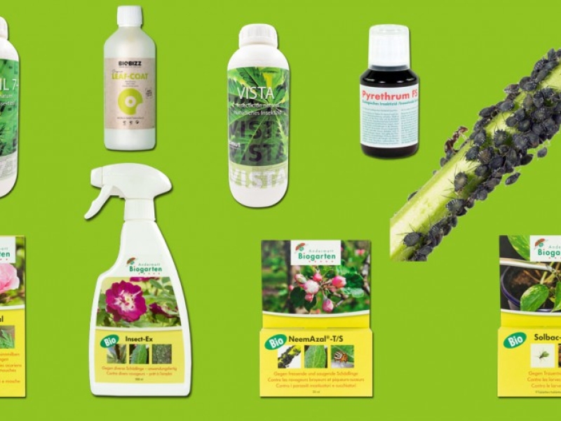 Insecticide organique, achat en ligne