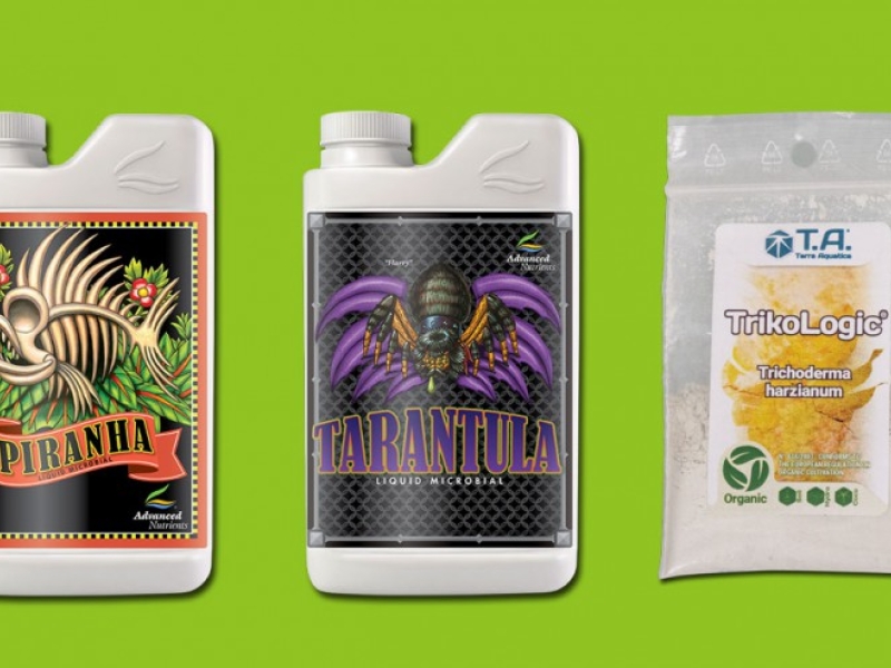 Vie biologique des sols