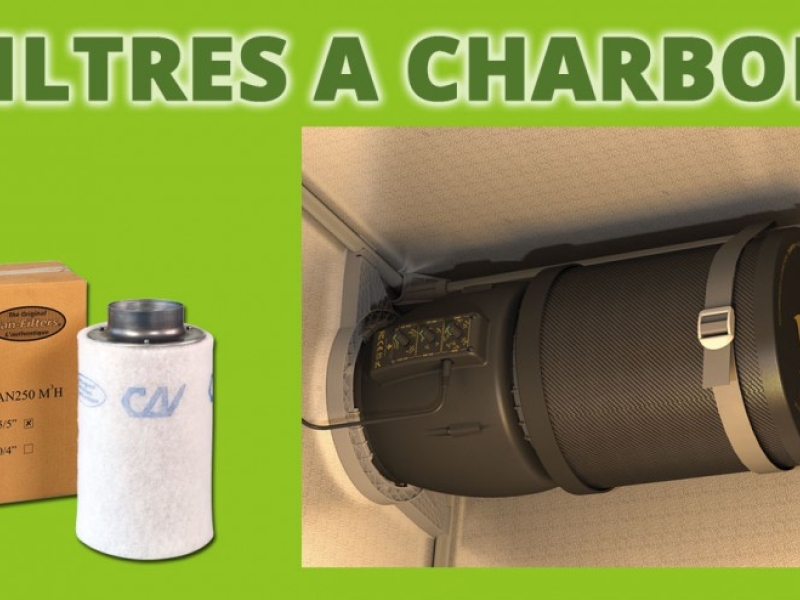 Comment choisir un filtre à charbon en culture indoor ?