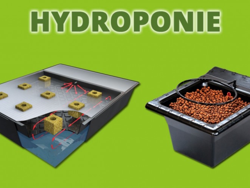 Culture en Hydroponie, conseils et astuces
